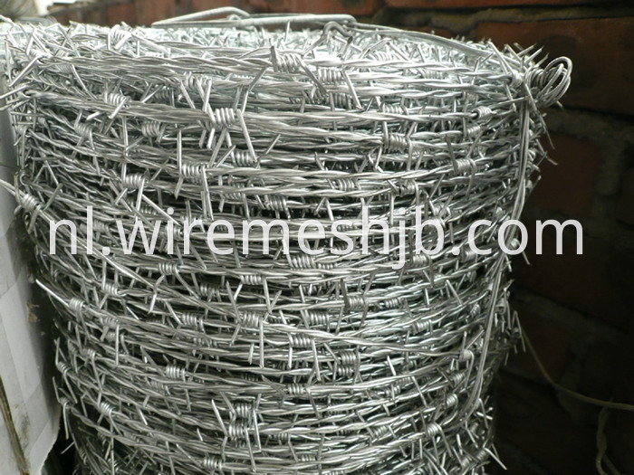 Barbed Iron Wire